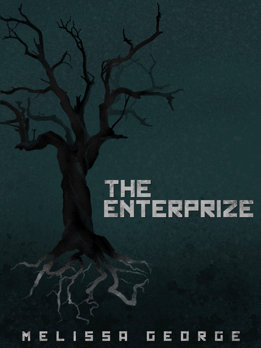 The Enterprize (Book 1)